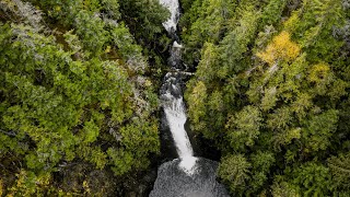 Exploring Beaupre Falls BC Terrace 4K [upl. by Hong371]