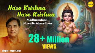 Ram Navmi Special  Hare Ram Hare Krishna  Jagjit Singh  Keshwa Madhwa  Shri Krishna  Ram Dhun [upl. by Aerdna]