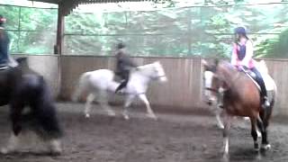 Riding Annie at Ingestre Stables [upl. by Cristine]