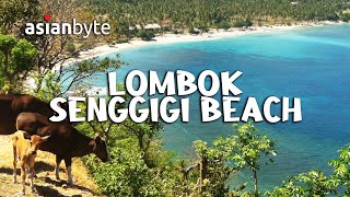 Driving past Senggigi Beach in Beautiful Lombok Indonesia 🇮🇩 [upl. by Buke441]