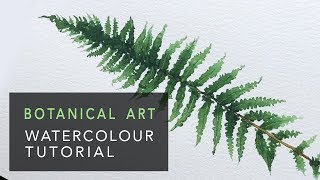 Botanical Art  Fern with watercolour ✎ CurtisSheeran [upl. by Humfrey]