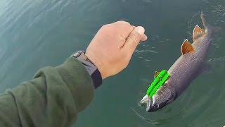 Trolling Lake Trout On Flatfish Spoon Plugging Basics From Plummers Lodges [upl. by Esinned]