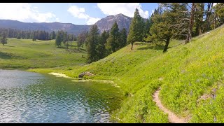 Virtual Treadmill Hike Yellowstones Trout Lake Trail [upl. by Yetta79]