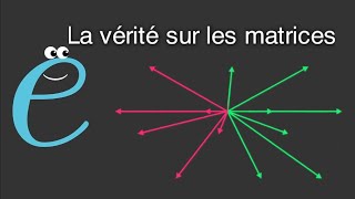 Comment comprendre FACILEMENT les matrices [upl. by Ruttger]