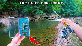 The BEST Flies for Trout  Fly Fishing for Beginners Streamers Nymphs Dry Flies [upl. by Dotson]