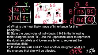 How to solve Pedigree Problems step by step tutorial [upl. by Pinkham]