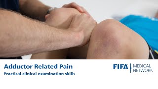 Adductor Related Pain  Practical Clinical Examination Skills [upl. by Hank785]