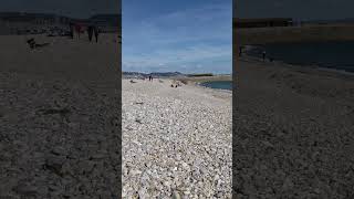 View from Monmouth Beach Lyme Regis Dorset [upl. by Hanus935]