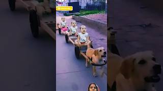 Cycle Cycle Mari Sonani Cycle shorts youtubeshorts funny cutebaby viral trending [upl. by Clorinde145]