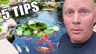 5 Tips for Water Lilies How to Place Them in a Pond [upl. by Collins]