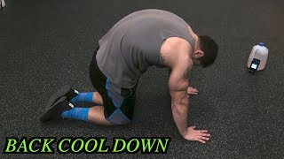 5 Minute Back Static Stretching Routine  Cool Down [upl. by Muir848]