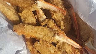 Apalachicola Seafood Festival [upl. by Ynaitirb]