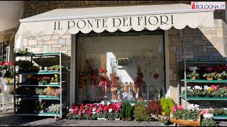 Ponte della Venturina Il ponte dei Fiori di Peter Incoronato [upl. by Salzhauer48]