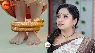 Trinayani Promo  05 Dec 2023  Mon to Sat at 830 PM  Zee Telugu [upl. by Teeter]