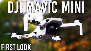 DJI Mavic Mini Drone  Specs amp Footage  First Look [upl. by Laeira]