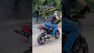 รถใหม่อะไรก็ดี grom grom125 honda stuntriding wheelie ยกล้อ เกรียนใหม่ [upl. by Neersin]