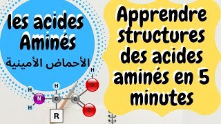 Les structures des acides aminés [upl. by Metah]