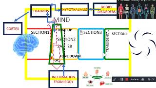 Door way 16 function of sec 2 of mind [upl. by Aynotan262]