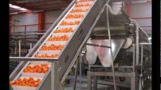 Citrus oil and juice extraction [upl. by Nelhsa]