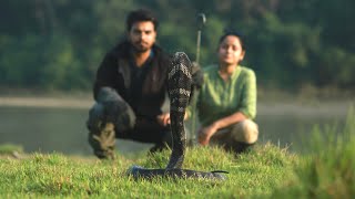 नागराज ॥ The King Cobra World’s longest Venomous Snake । Asbin Ojha  Rescue Operation Nepal🇳🇵 [upl. by Bever85]