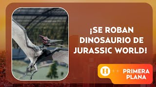 ¿Se escapó Reportan robo en Perisur de un dinosaurio valuado en 2 mdp  Primera Plana [upl. by Papageno]