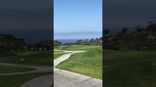 Torrey Pines CA [upl. by Jemma]