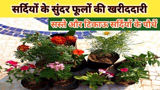 सर्दियों के फूलों वाले पौधों की खरीददारीWinter flowering plants shopping 🛍️Green Garden Gujarat [upl. by Bunnie]