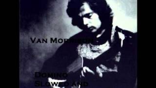 Domino  Van Morrison Slowed and Chopped [upl. by Ebenezer798]