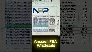 Amazon FBA Wholesale Best Winning [upl. by Goggin]