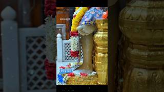 sai baba kakad aarti live darshan today  shorts [upl. by Llenor]