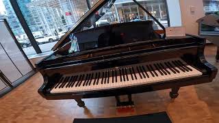 Steinway amp Sons  6th Avenue NYC [upl. by Harak]