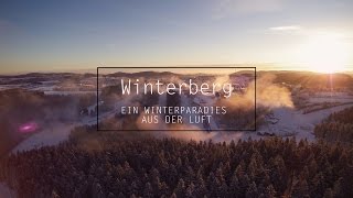 Skiliftkarussell Winterberg  Sauerland  Skigebiet Luftaufnahmen  Drohne  Stock Footage [upl. by Gregg669]