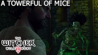 The Witcher 3 Wild Hunt  A Towerful of Mice  Fyke Isle Curse  full story [upl. by Jerald]