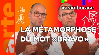 Bravo  Karambolage  ARTE [upl. by Gillett]