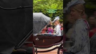 Royal Family Members  Trooping The Colour kingsguard horse buckinghampalace horseguards guard [upl. by Aleahs]