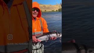 Deschutes River Steelhead [upl. by Masha]