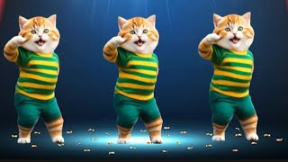 😻🐾️Funny Cat Trending Dancing Videos 😻💃viralvideos Catlovers dancingcat funnycat furrycornerz [upl. by Jacobah81]