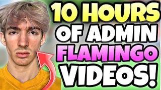 10 HOURS OF FLAMINGO ADMIN TROLLING VIDEOS TO FALL ASLEEP TO [upl. by Revert837]