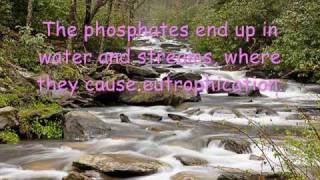 Phosphorus Cycle [upl. by Eitsym]