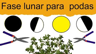 Fases lunares para podar  En que fase de la luna se puede podar 🌙 [upl. by Maya]