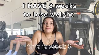 How to lose weight in 3 months  ep 3 [upl. by Notsle]