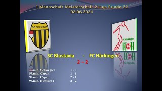 1Mannschaft 2Liga SC Blustavia  FC Härkingen [upl. by Gnilrits]