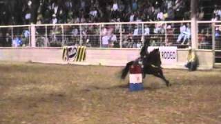 2010 Crossett AR WPRAPRCA  Barrel Racing [upl. by Lalittah730]