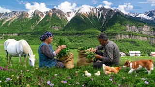 From the Mountain to the Table Picking Priceless Wild Garlic for Incredible Stuffed Bread [upl. by Aivun]