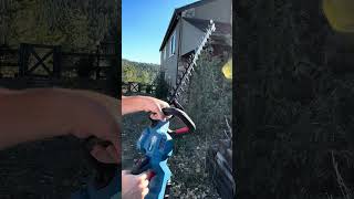 DongCheng 40VFUEL Brushless Hedge Trimmer DCHT4026 [upl. by Adnolahs145]