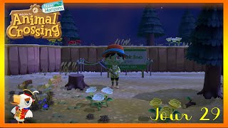 Animal Crossing  New Horizons  Jour 29  Gullivar et une nouvelle parcelle [upl. by Aldred]