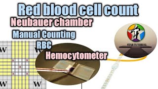 RBC Counting by Neubauer chamber Manually llHemocytometer llHematology [upl. by Asiret]