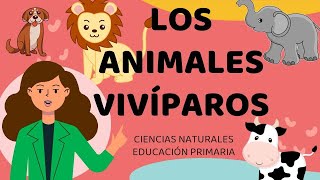 🐶🐼🐰 ANIMALES VIVÍPAROS 🐵🐘🐭 EDUCACIÓN PRIMARIA 📔✏️🎒 CLASE VIRTUAL [upl. by Sileray]