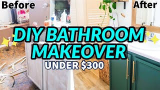 DIY BATHROOM MAKEOVER ON A BUDGET  BATHROOM REMODEL UNDER 300  EXTREME BATHROOM TRANSFORMATION [upl. by Refitsirhc]