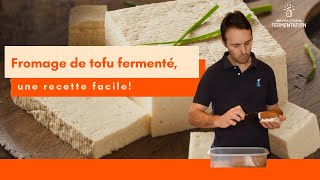 Comment faire un fromage de tofu fermenté [upl. by Nyliac870]